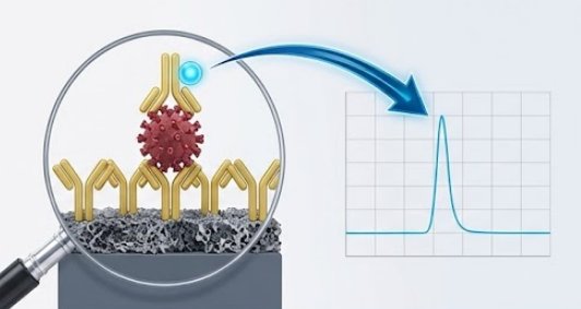 Immunoassay Principle